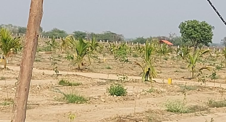 70 Acres Of Farm Land For Sale at Aler to Kolanupaka Road, Yadadri District.