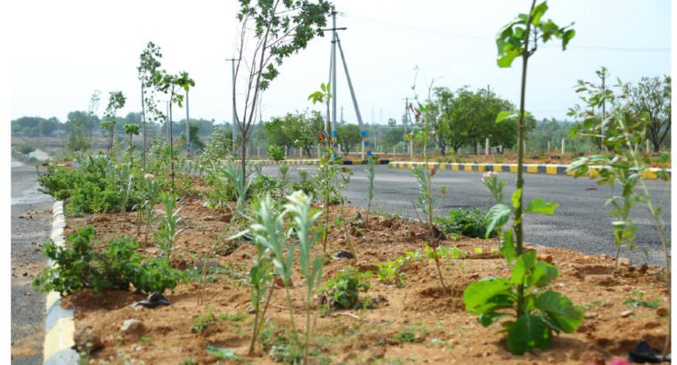 HMDA Approved Plots For Sale At Mahadevpur Village, Bibinagar.